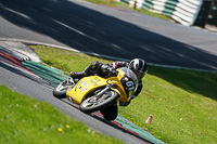 cadwell-no-limits-trackday;cadwell-park;cadwell-park-photographs;cadwell-trackday-photographs;enduro-digital-images;event-digital-images;eventdigitalimages;no-limits-trackdays;peter-wileman-photography;racing-digital-images;trackday-digital-images;trackday-photos